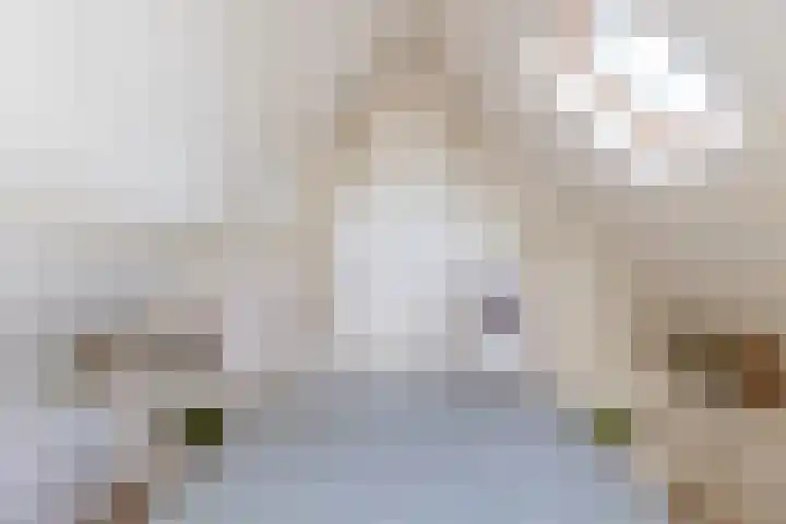 Domburgs Schuitvlot 13 Middelburg thumbnail 24