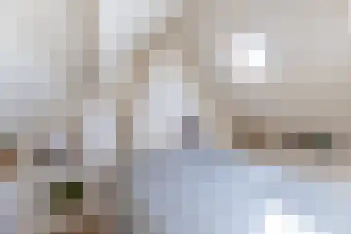 Domburgs Schuitvlot 13 Middelburg thumbnail 25