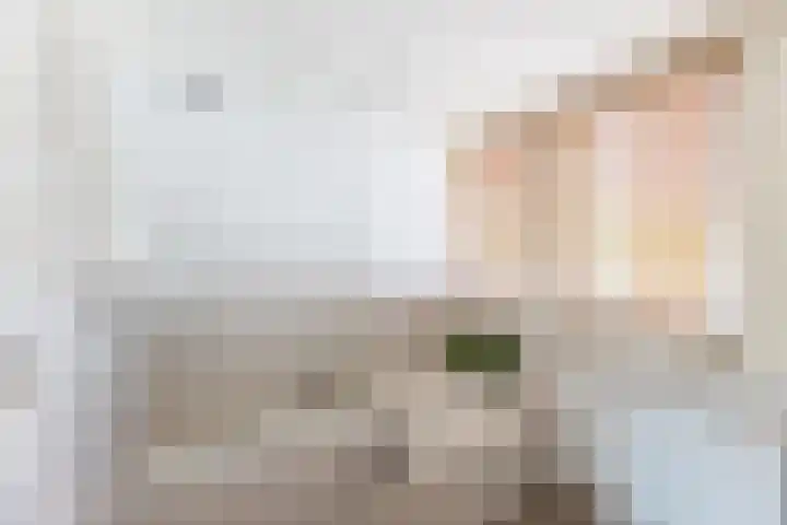 Domburgs Schuitvlot 13 Middelburg thumbnail 30