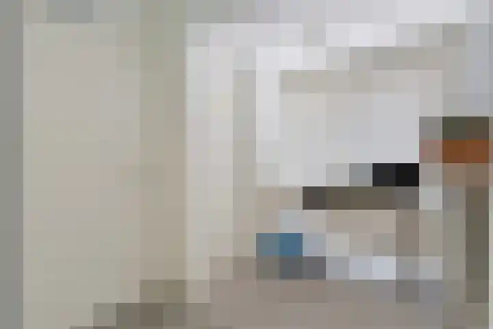 Domburgs Schuitvlot 14 Middelburg thumbnail 11