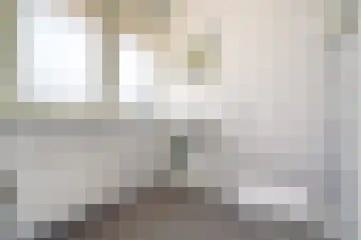 Domburgs Schuitvlot 14 Middelburg thumbnail 16