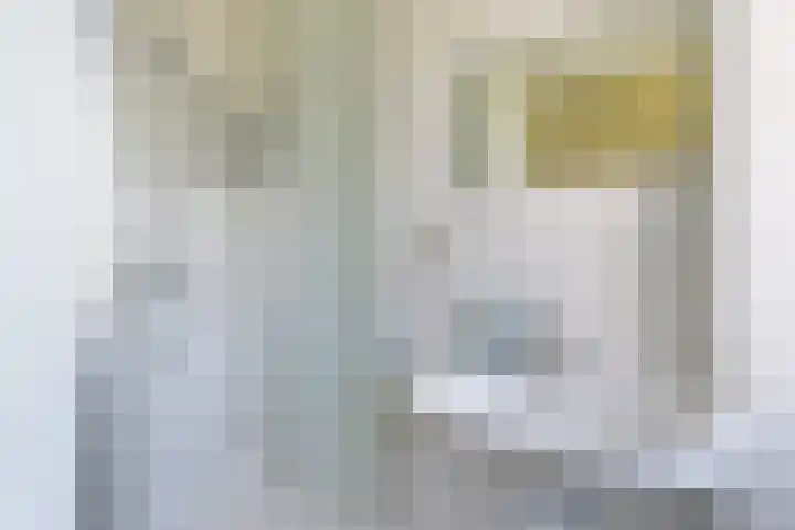 Domburgs Schuitvlot 14 Middelburg thumbnail 19