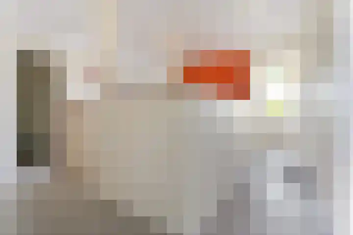 Domburgs Schuitvlot 14 Middelburg thumbnail 20