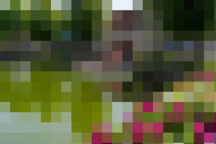 Domburgs Schuitvlot 14 Middelburg thumbnail 29