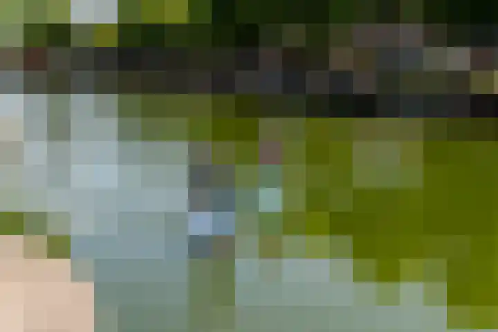 Domburgs Schuitvlot 14 Middelburg thumbnail 30
