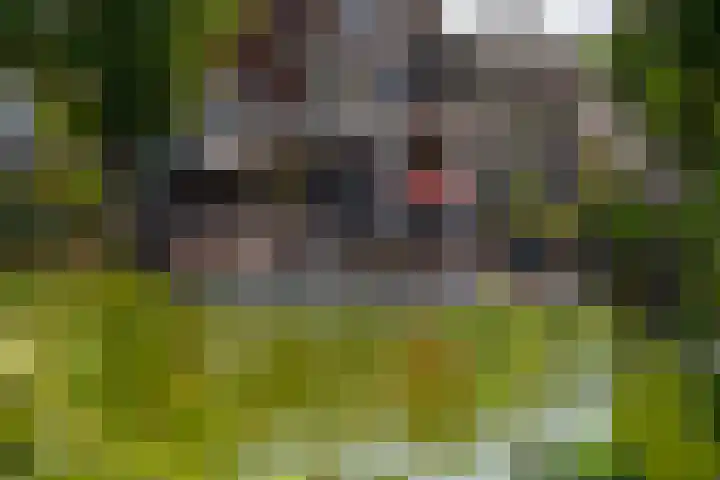 Domburgs Schuitvlot 14 Middelburg thumbnail 31