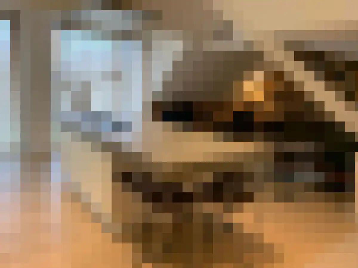 Domburgs Schuitvlot Middelburg thumbnail 4