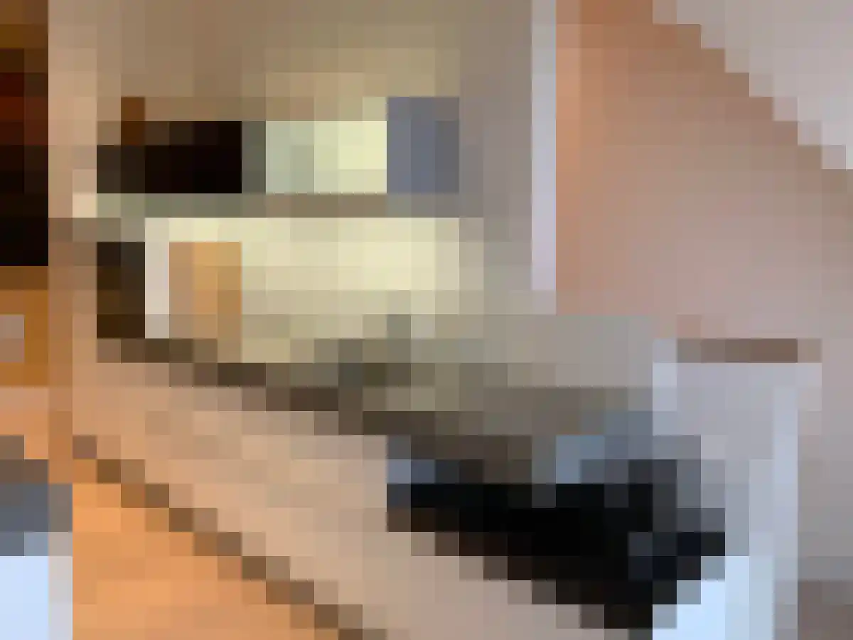 Domburgs Schuitvlot Middelburg thumbnail 6