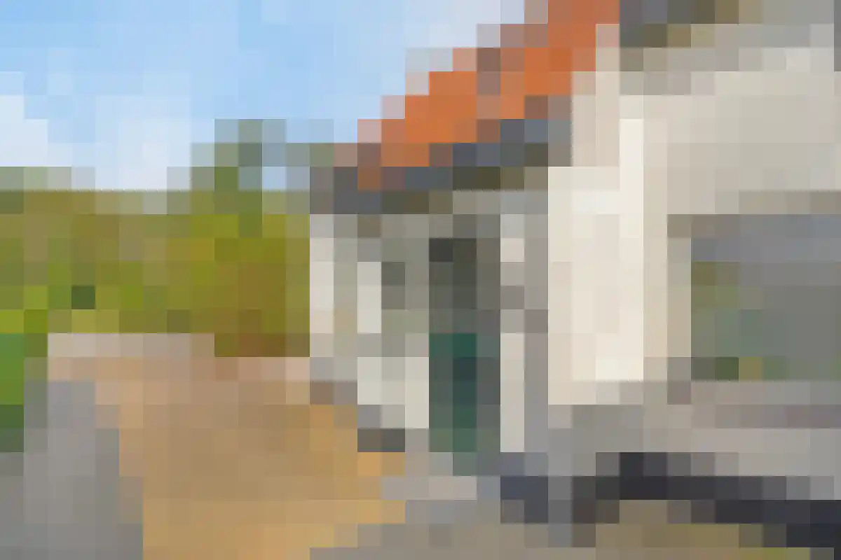 Domburgseweg 62 Oostkapelle thumbnail 8
