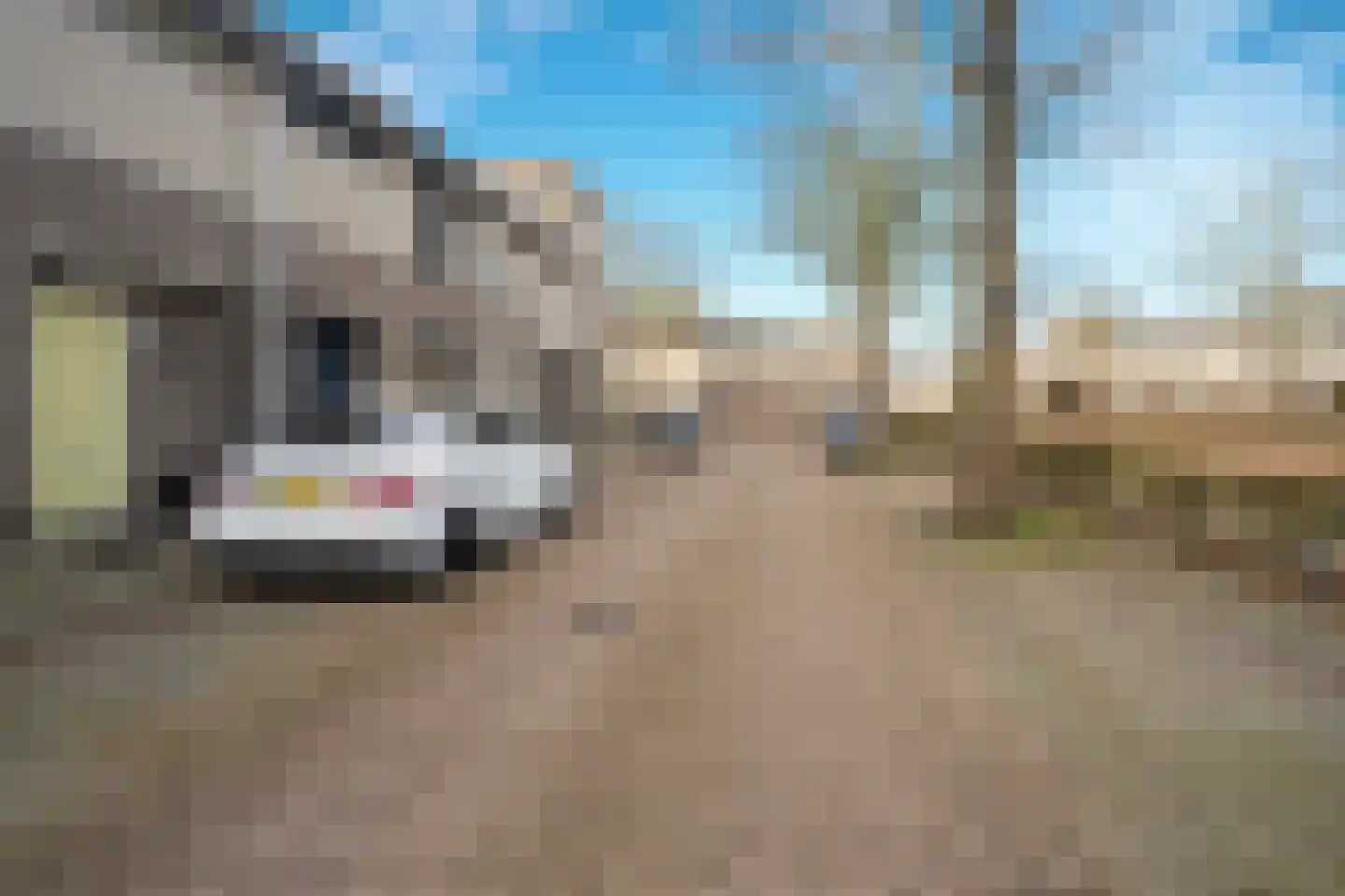 Domburgsingel 30 Tilburg thumbnail 51