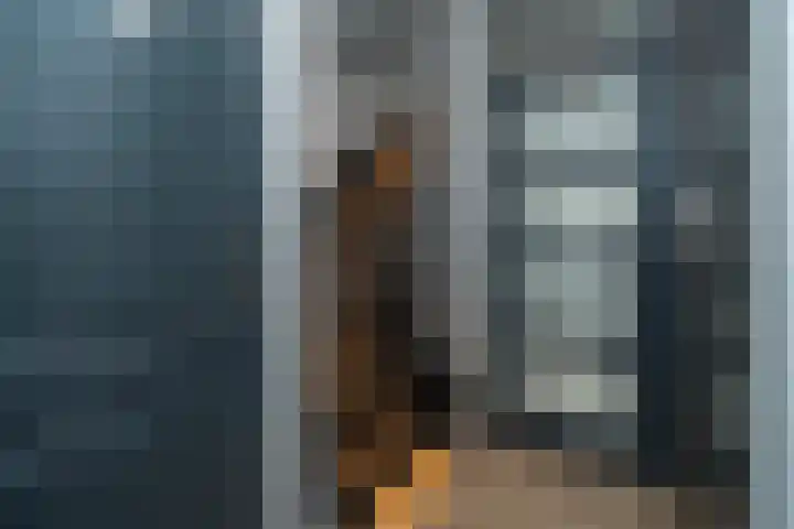 Domburgsingel 30 Tilburg thumbnail 7