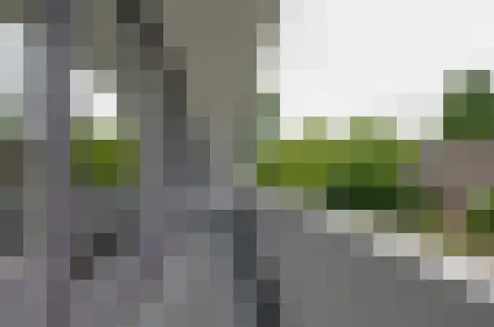 Domcapittel 19 Beilen thumbnail 26
