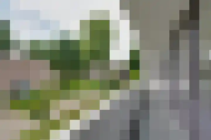 Domcapittel 19 Beilen thumbnail 27