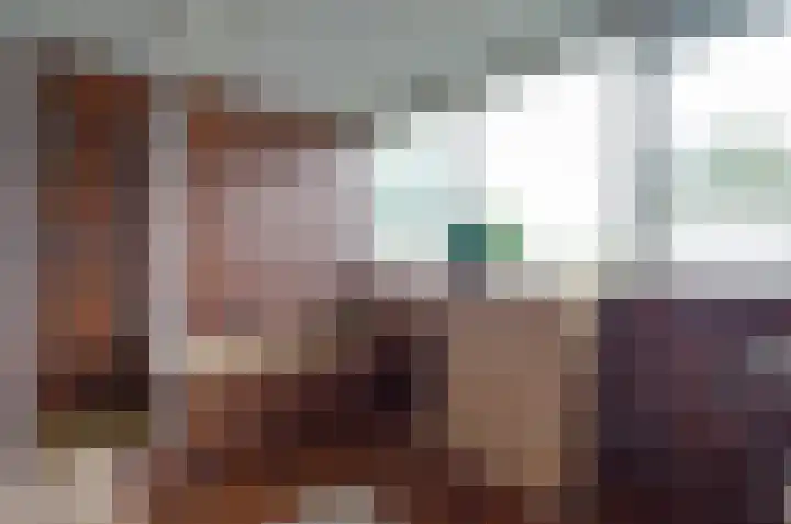 Domcapittel 19 Beilen thumbnail 28