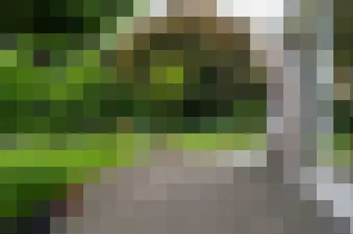 Domcapittel 19 Beilen thumbnail 30