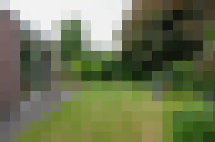 Domcapittel 19 Beilen thumbnail 32