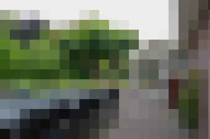 Domcapittel 19 Beilen thumbnail 33