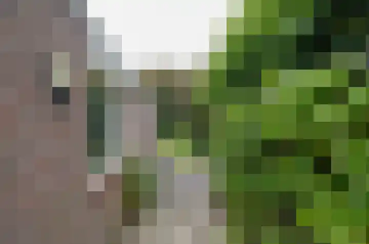Domcapittel 19 Beilen thumbnail 36