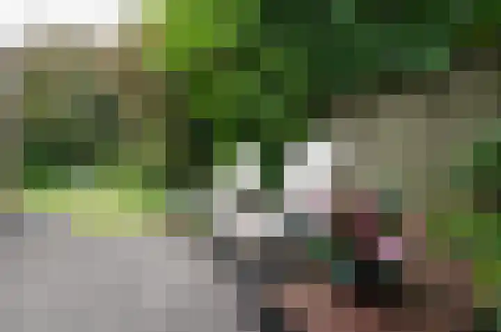 Domcapittel 19 Beilen thumbnail 37