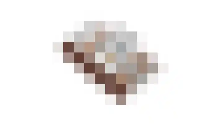Domcapittel 19 Beilen thumbnail 44