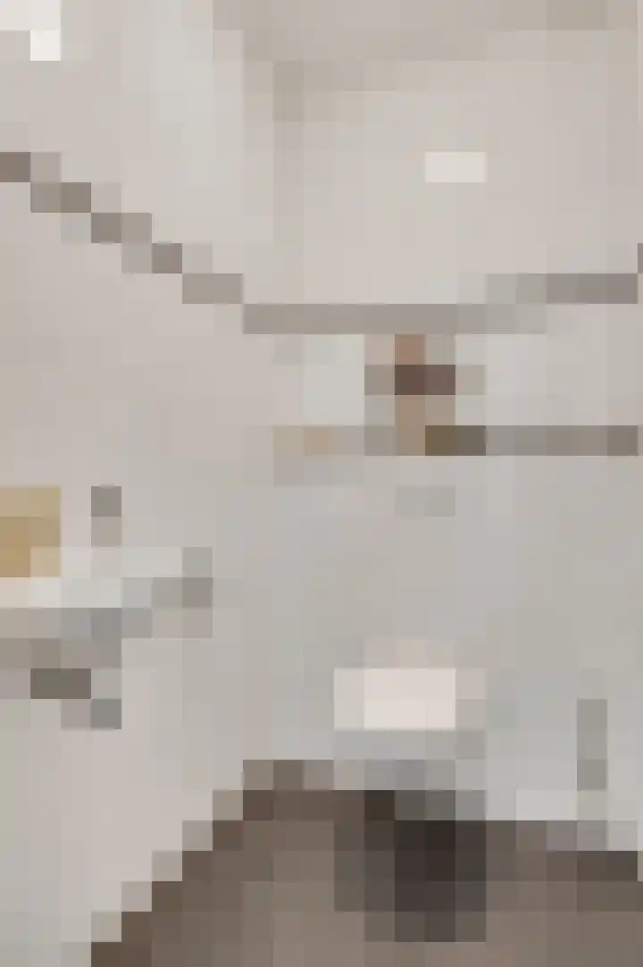 Domein 1 Sterksel thumbnail 10