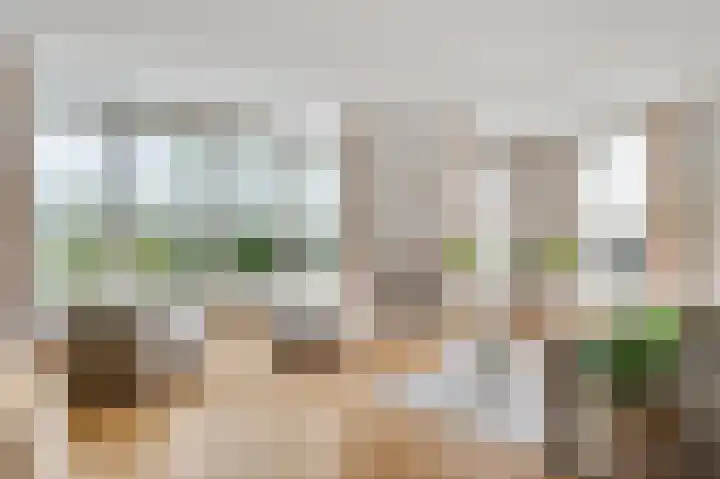 Domein 1 Sterksel thumbnail 11