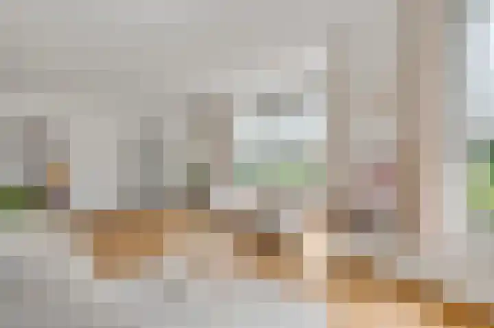 Domein 1 Sterksel thumbnail 12