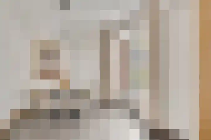 Domein 1 Sterksel thumbnail 20