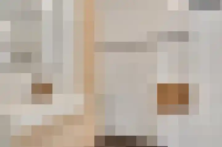 Domein 1 Sterksel thumbnail 23