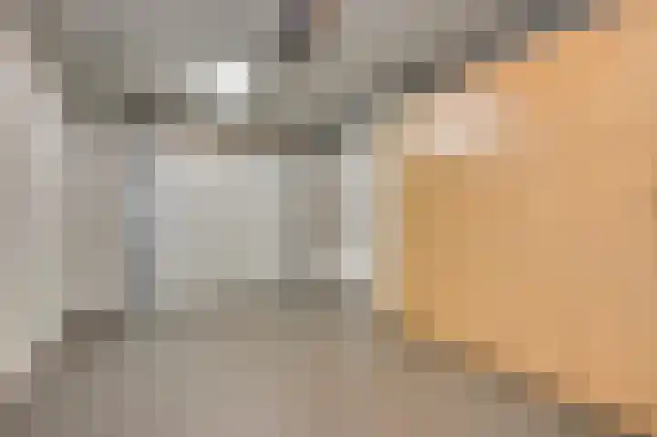 Domein 1 Sterksel thumbnail 27