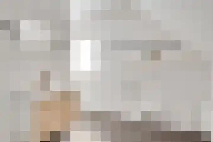 Domein 1 Sterksel thumbnail 36