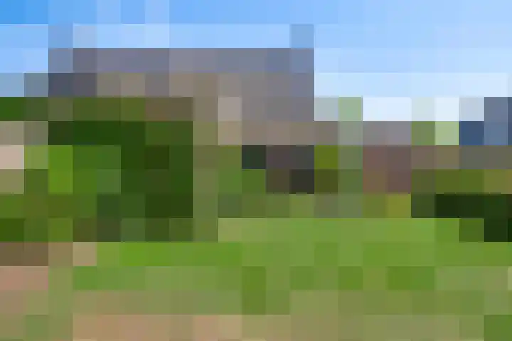 Domein 1 Sterksel thumbnail 41