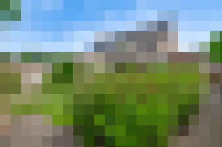 Domein 1 Sterksel thumbnail 42