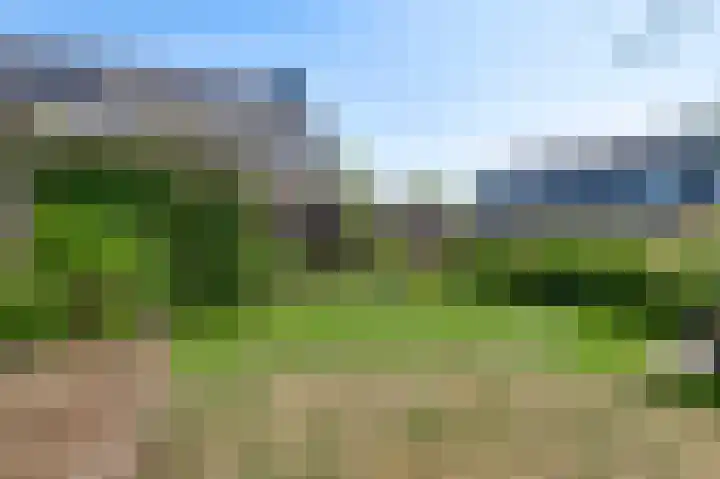 Domein 1 Sterksel thumbnail 43