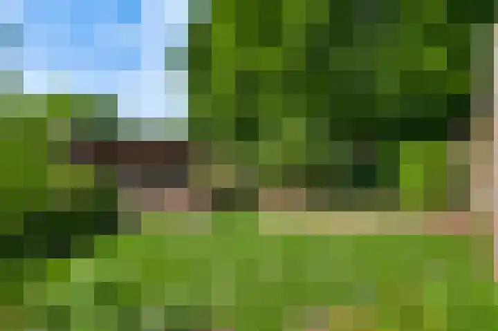 Domein 1 Sterksel thumbnail 44