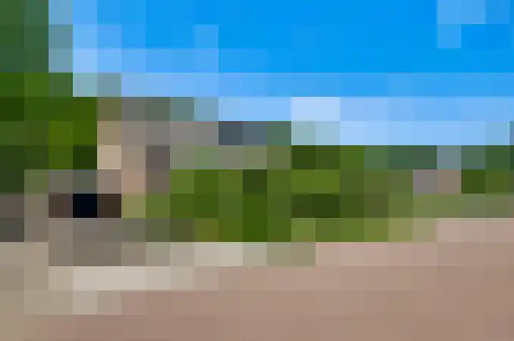 Domein 1 Sterksel thumbnail 46