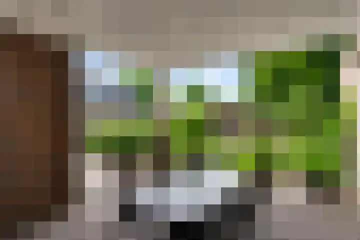 Domein 1 Sterksel thumbnail 5