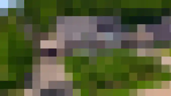 Domein 1 Sterksel thumbnail 51