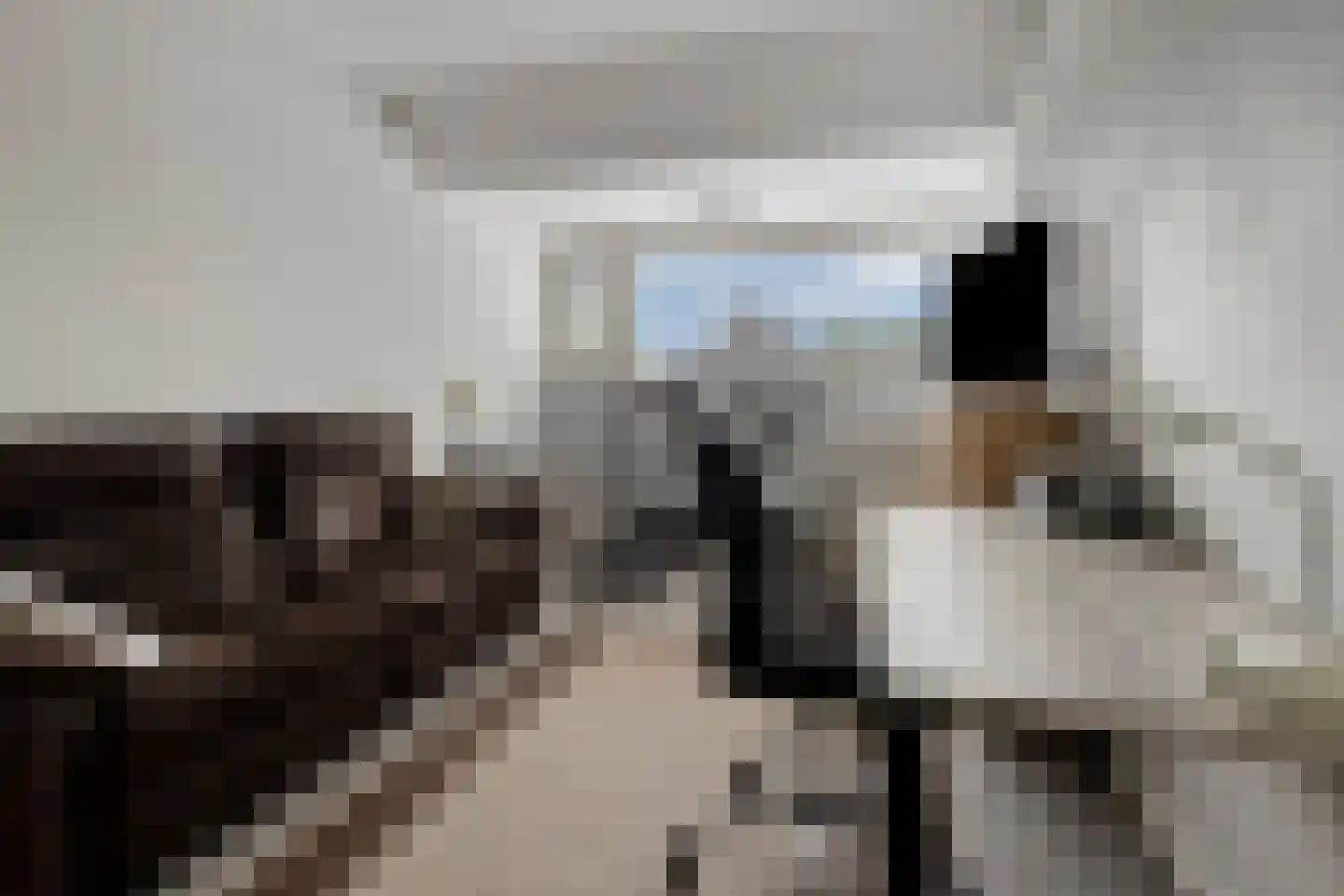Domein 11 Sterksel thumbnail 30