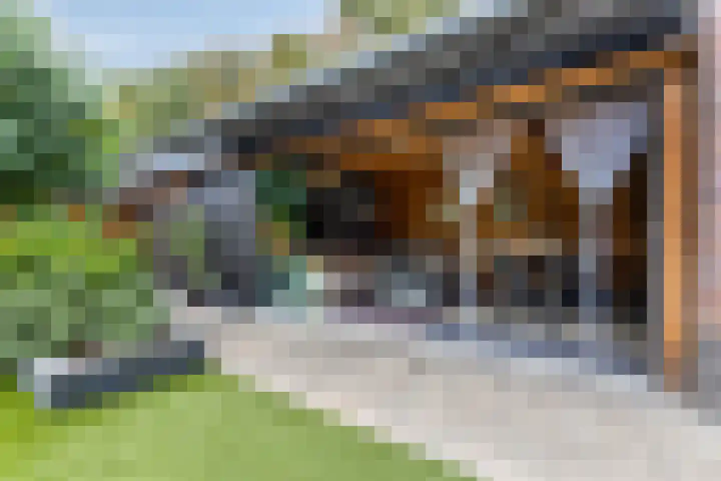 Domein 11 Sterksel thumbnail 4