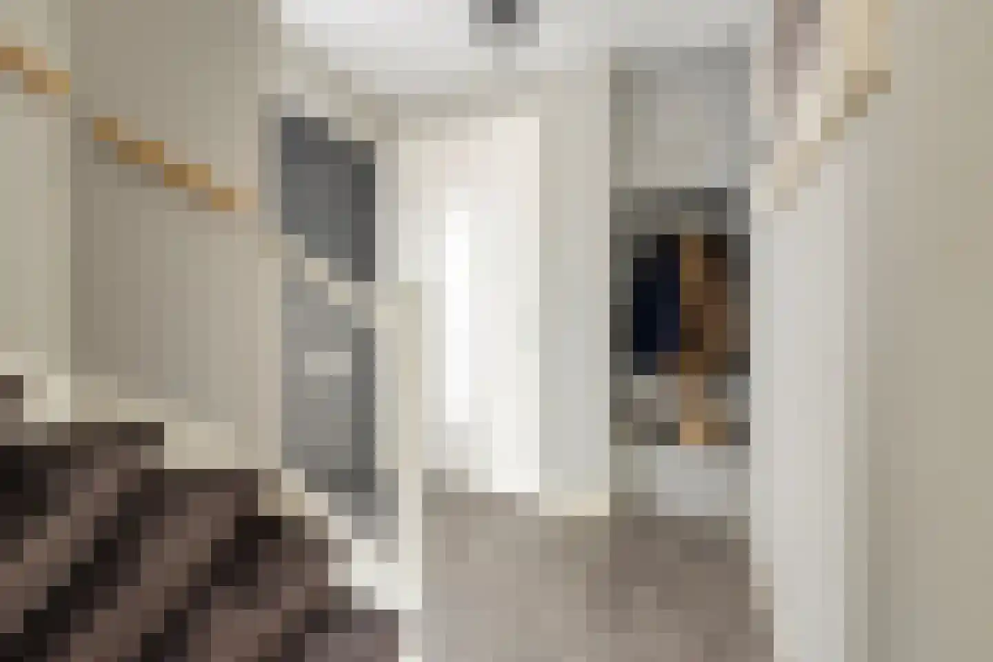 Domein 11 Sterksel thumbnail 9