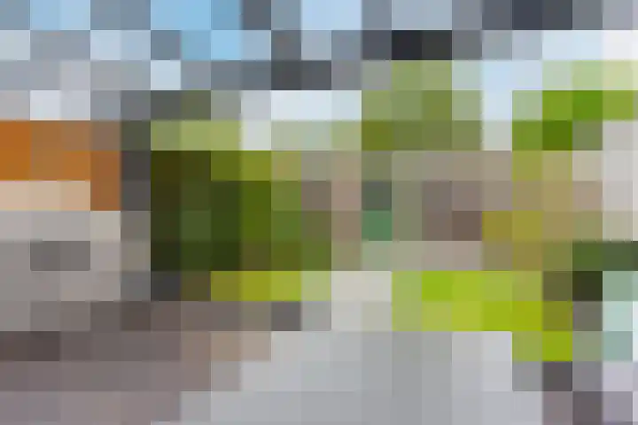 Domein 17 Veldhoven thumbnail 45