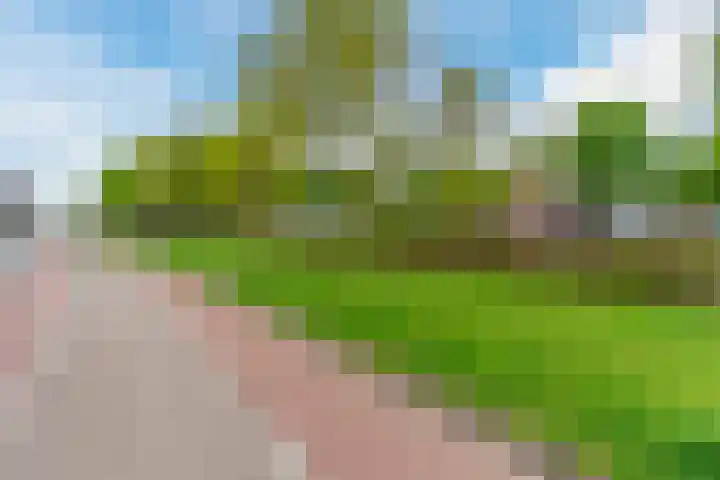 Domein 17 Veldhoven thumbnail 52