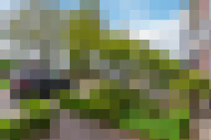 Domein 17 Veldhoven thumbnail 7