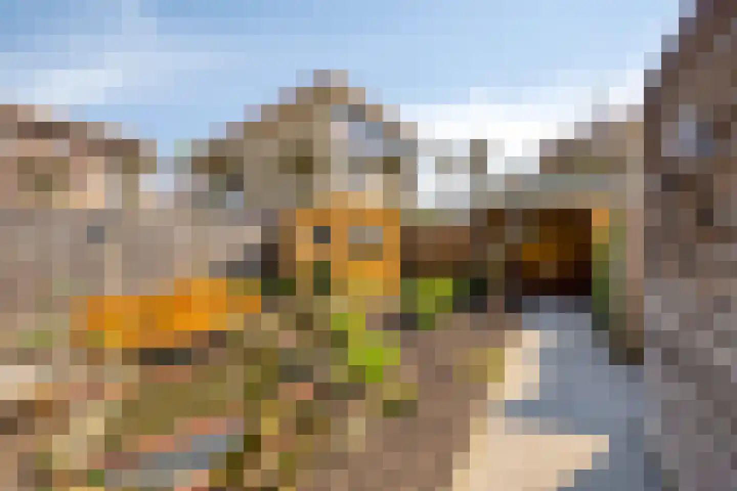 Domein 4 Veldhoven thumbnail 32