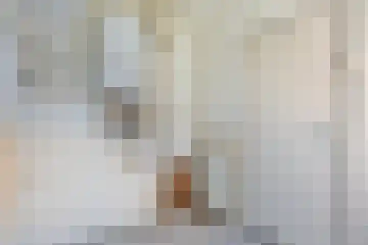 Domeinenstraat 15 Mill thumbnail 13