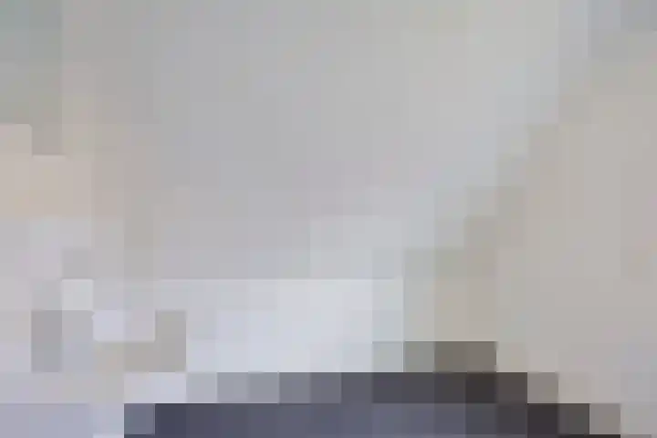 Domeinenstraat 15 Mill thumbnail 17
