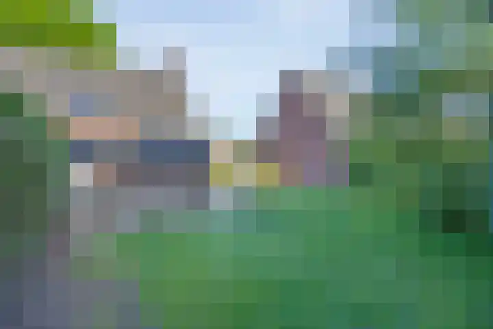 Domeinenstraat 15 Mill thumbnail 19