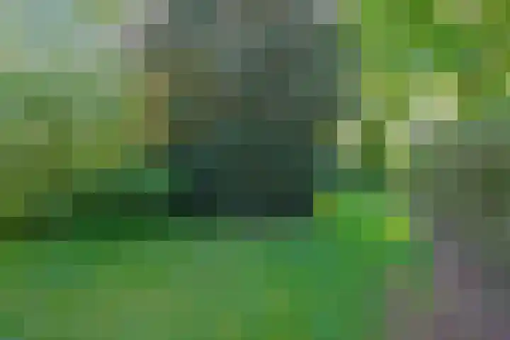 Domeinenstraat 15 Mill thumbnail 23