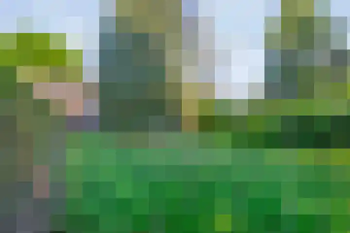 Domeinenstraat 15 Mill thumbnail 25